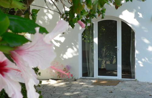 Casa do Hibisco - Foto 28