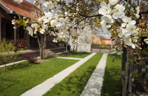 Turul -Kuća za odmor- - Foto 40