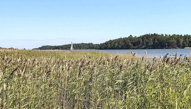 Holiday Home in Lidköping - Foto 5