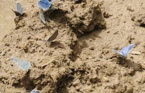 ENJOY VALDELINARES - Foto 39