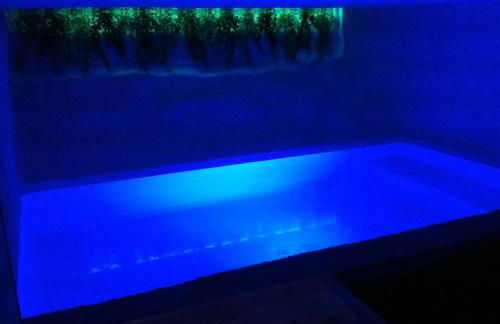 Residence Aqualiva à Valberg Piscine privative dans chacun des appartements situé à 20 m des pistes de ski - Foto 34