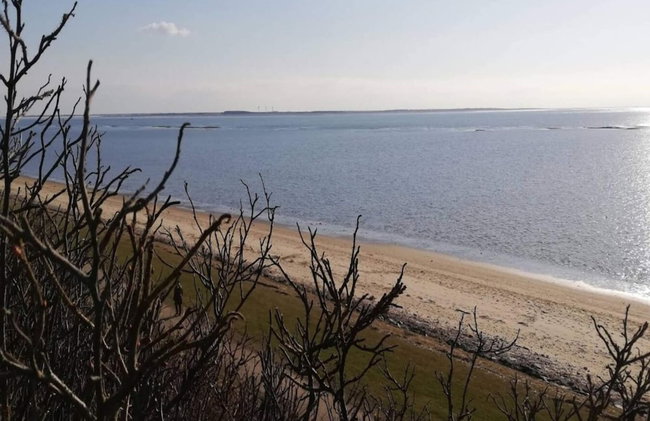 5 Star Holiday Home in Esbjerg V - Foto 62