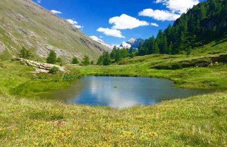 Chalet la Lauzette - Foto 25