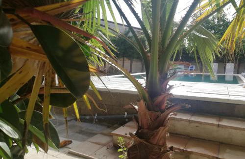 Mater Christi - Foto 26