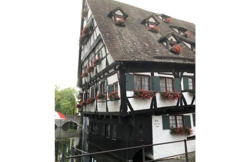 in Haus Kallenberg - Foto 39