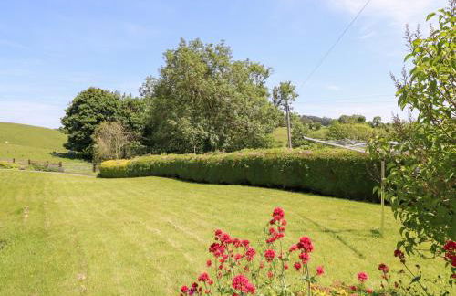 Bryn Bras - Photo 38