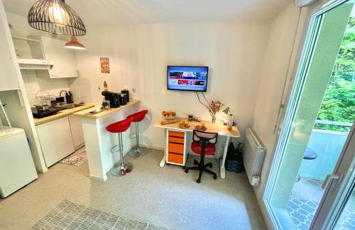 " Terrasse Téléo " Hôpital Rangueil - Pech David - Foto 4