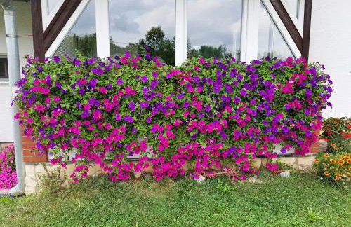 Apartments Sanja - Foto 22