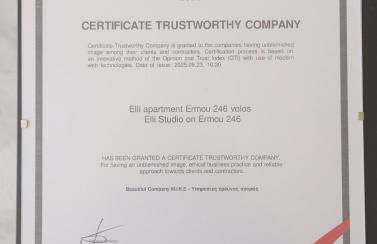 Elli Studio on Ermou 246 - Foto 15