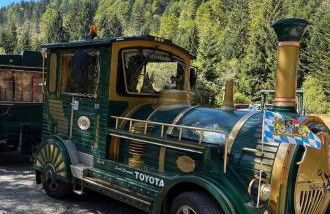 Lindners Hideaways - Gutshof Pine Retreat - Sauna - In Villa - Terrasse - Garten mit Rehgehege - Frühstück verfügbar - SKI - Arber - Osser - bis 5 Pers - Photo 31