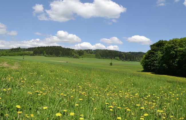 Authentic Holiday Home with Garden near Trutnov - Foto 46