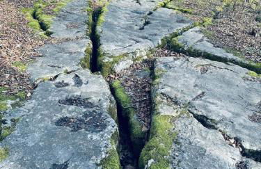 Paradise Island escape Riverfront in Clay, NY - Foto 56