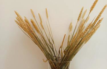 Feidiou 1, vol I - Foto 14