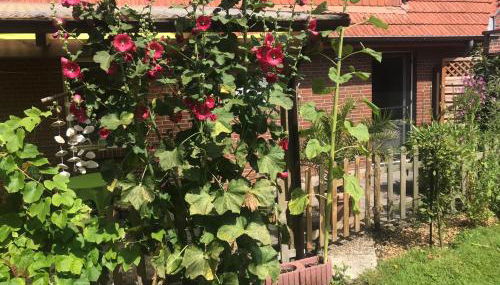 Minsener Warft - Foto 5