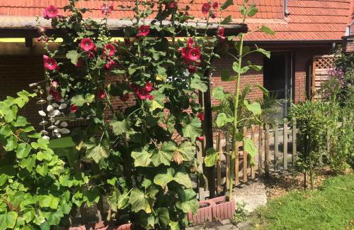 Minsener Warft - Photo 5