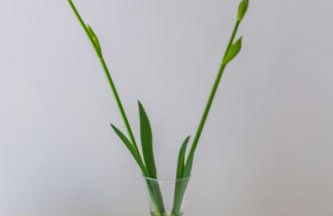 Casa Floriana - Foto 71