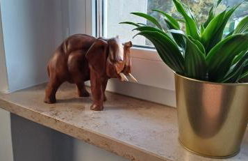 Berlin - Potsdam - Fläming - Foto 33