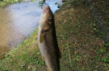 Grandma's apartment - Photo 43