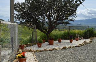 Mount Tatum - Foto 31