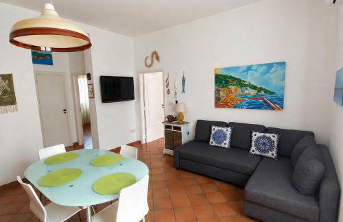 MarioSuite - Photo 7