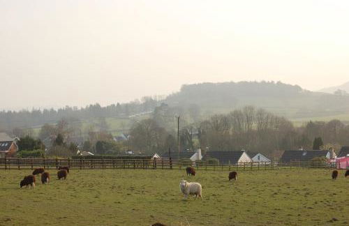 Bronhaul Cottage in Pennal - Photo 37