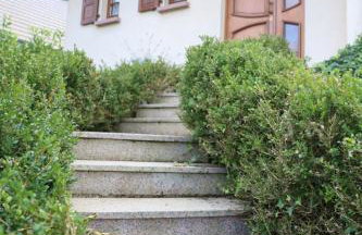 HAVRE DE PAIX - Maison 3 étoiles - Piscine Privée - Europapark - Foto 36