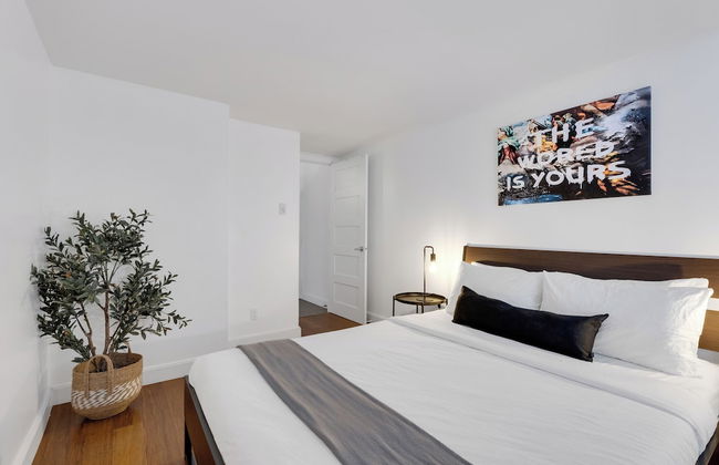 Liv MTL - Main - Foto 17