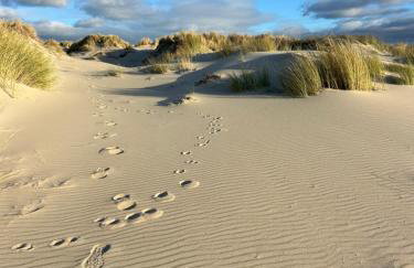 Le Petit Studio de Merlimont - Foto 36