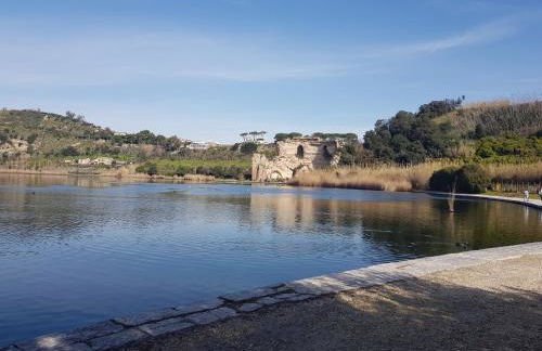 La Limonaia - Foto 42