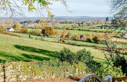 Pipistrelle - Uk30758 - Photo 22
