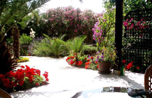 GAJAC ap DUNJA i TINA - Photo 2