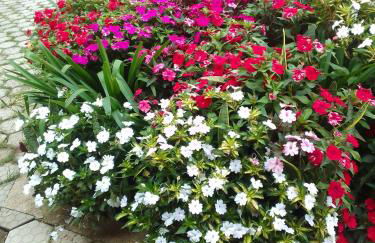 Verde Mauá Chales - Foto 6