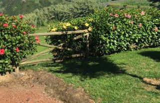 Lar de Santana - Photo 53