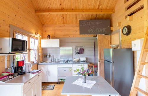 Chalets du Bois de Vache - Foto 66