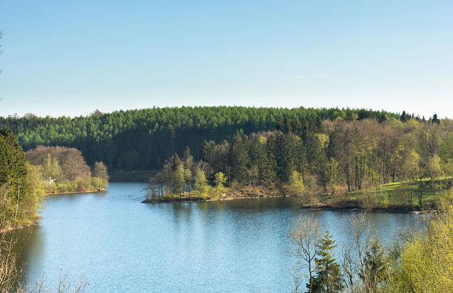 Luxury Holiday Home With Sauna Near Forest in Ovifat - Photo 36