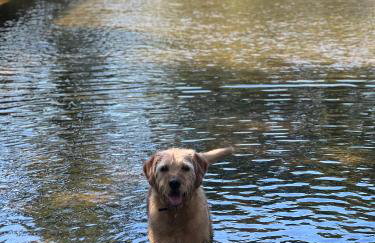 Manor Farm House - Foto 14