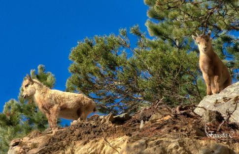 Residence Casa Federica - Foto 23