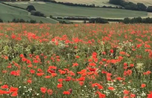 Grants Cottage, Brackley - Foto 29