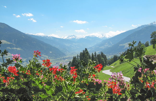 Apart Vorwies - Foto 28