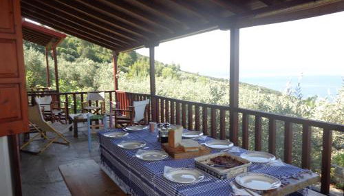 Olive Grove House - Foto 5