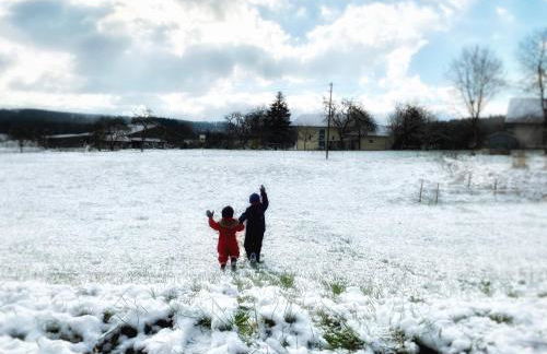 Moderne Fewo mit Fasssauna und Kamin im ländl. Allgäu - Foto 23