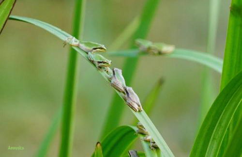 Le bon chemin Studio Stockholm - Foto 10