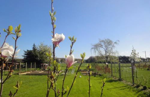 Cologne Country Lodge - Foto 55