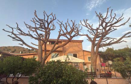 Villa Adelaide, Casa Vacanze a Reggio Calabria - Foto 28