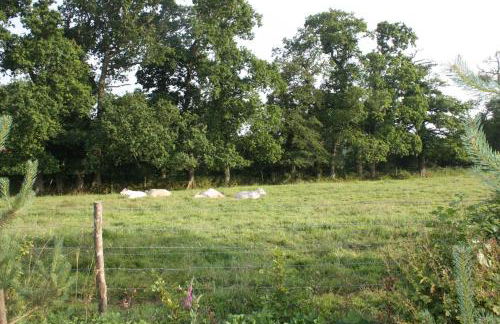 Ecuries de Coqueretaumont - Foto 34