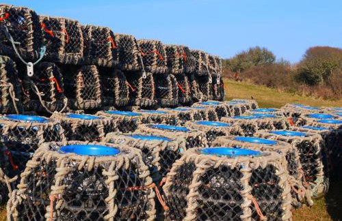 Burton Farmhouse - Foto 12