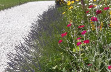 Wysokie Łąki domki w górach - Foto 43