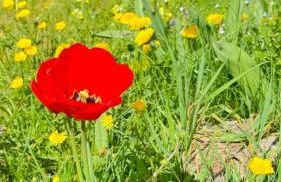 Apartment Balingen City - Foto 26