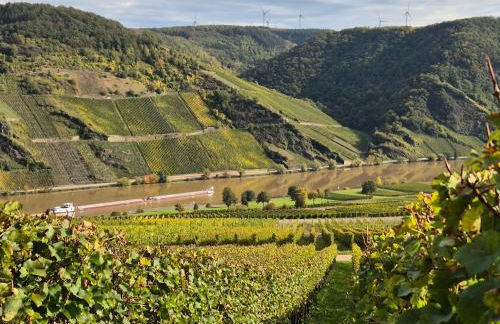 Weingut Mathy-Schanz - Foto 39