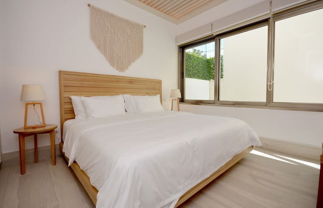 Mayan Monk - Photo 14